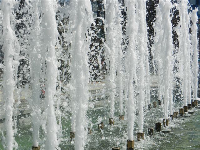 DSCN2049